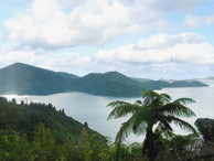 View from the Queen Charlotte Track